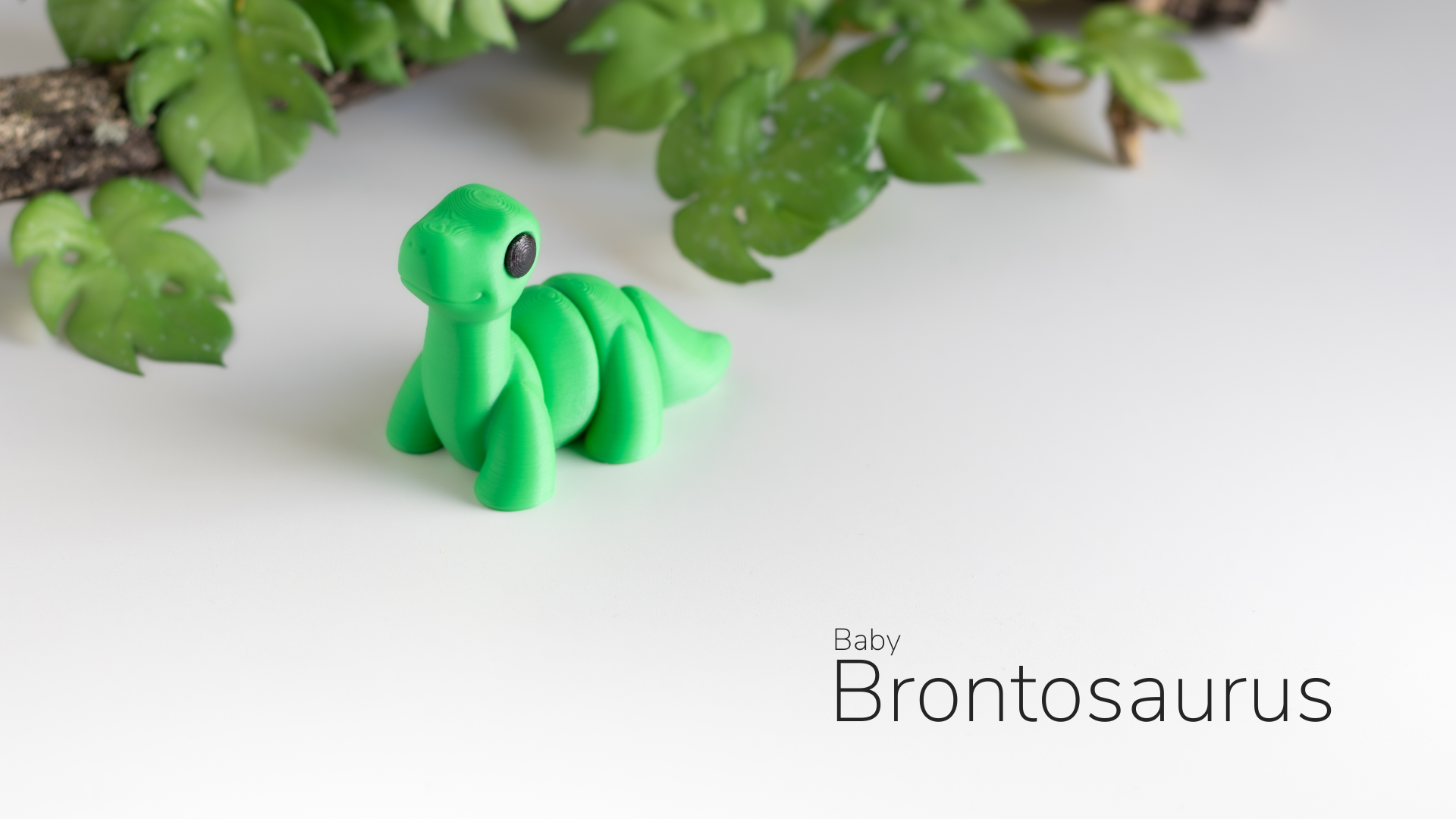 Baby Brontosaurus - Imagem 2