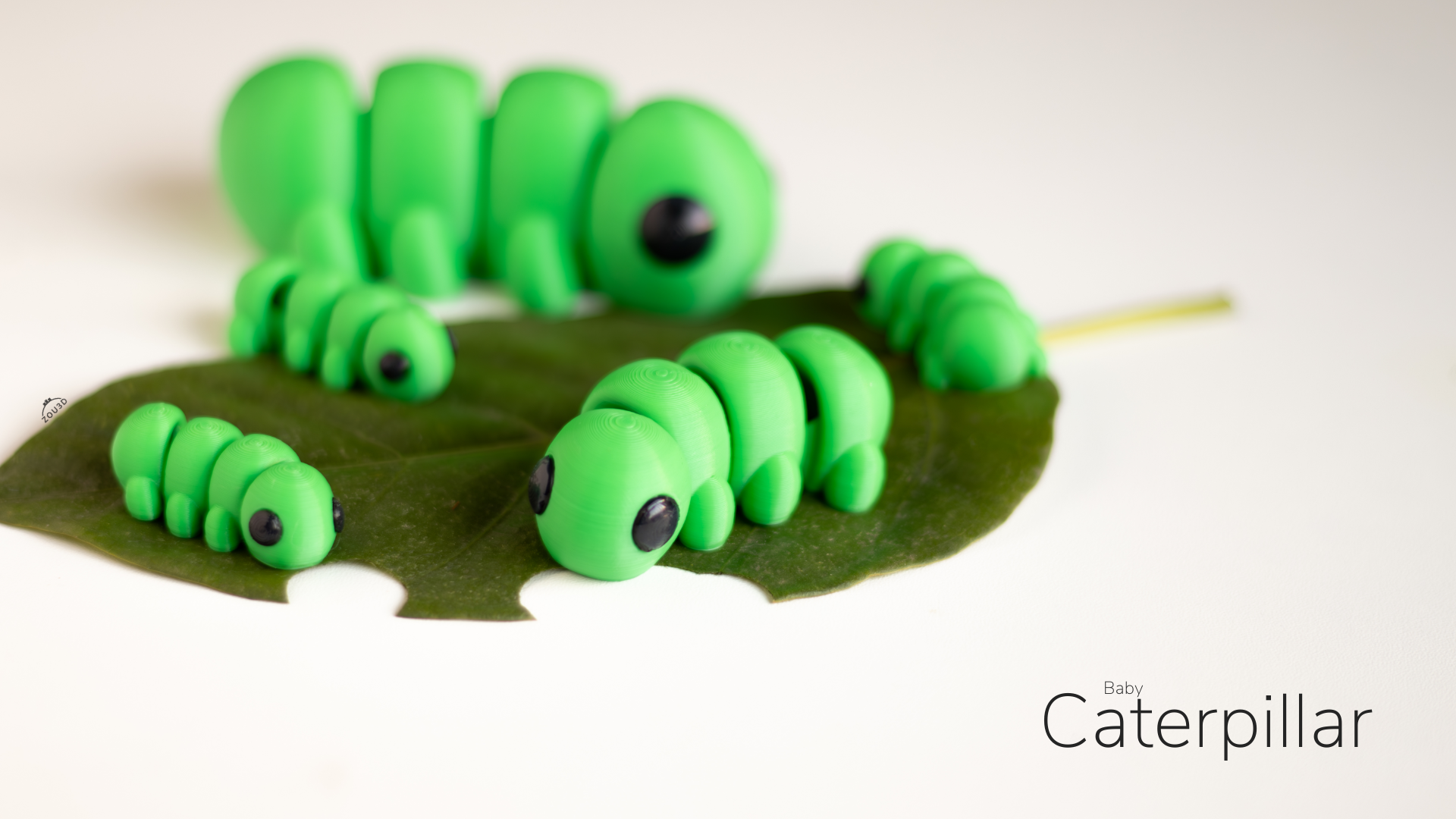Baby Caterpillar - Imagem 4