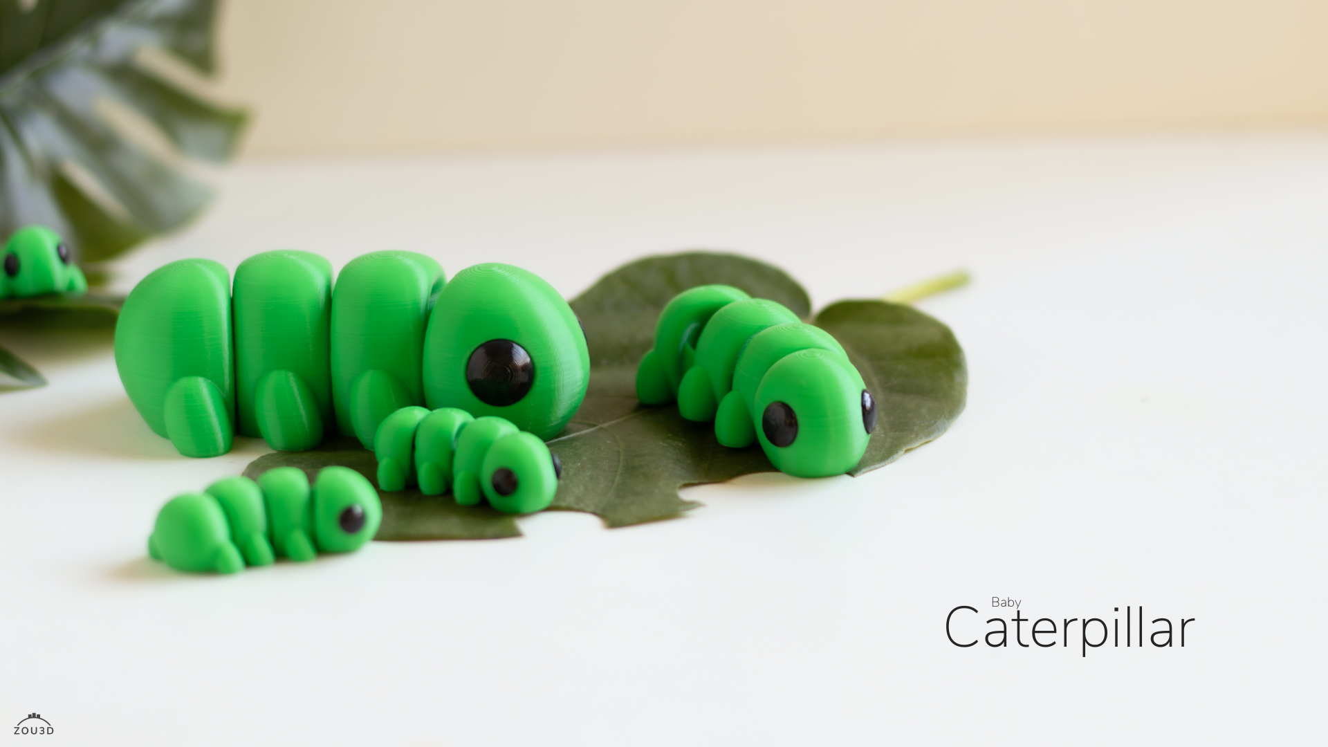Baby Caterpillar - Imagem 5