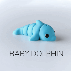 Baby Dolphin