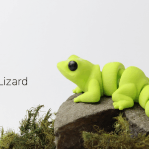 Baby Lizard
