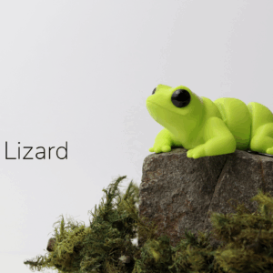 Baby Lizard